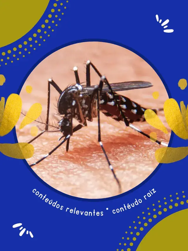 Casos de Dengue 2023 Santa Catarina